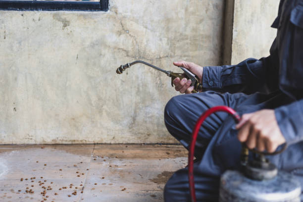 Best Pest Inspection Near Me  in Lytle, TX